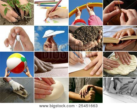 Human Hands Collection
