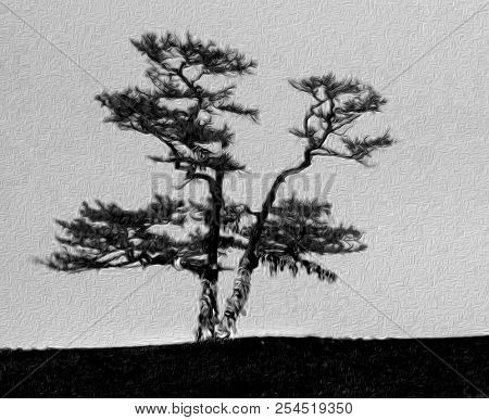 Lonely Shamanic Pine With Ribbons Hadak On Sky Background. Sacred Tree, Island Olkhon, Baikal, Russi