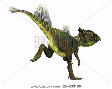Archaeoceratops Dinosaur Tail 3d Illustration - Archaeoceratops Was A Ceratopsian Herbivorous Dinosa