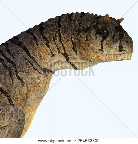 Carnotaurus Sastrei Dinosaur Head 3d Illustration - Carnotaurus Was A Carnivorous Theropod Dinosaur 