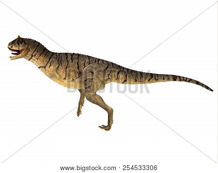 Carnotaurus Sastrei Dinosaur Side Profile 3d Illustration - Carnotaurus Was A Carnivorous Theropod D