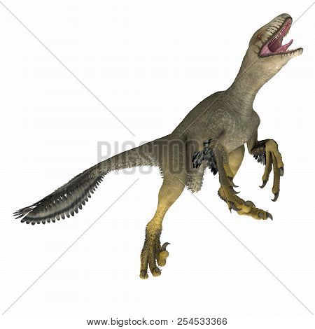 Dakotaraptor Dinosaur On White 3d Illustration - Dakotaraptor Was A Carnivorous Dromaeosaurid Therop
