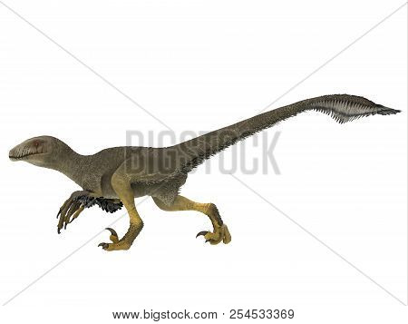 Dakotaraptor Dinosaur Side Profile 3d Illustration - Dakotaraptor Was A Carnivorous Dromaeosaurid Th