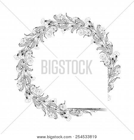 White Campion Flowers Round Wreath Around Square On White Background. Monochrome Black And White