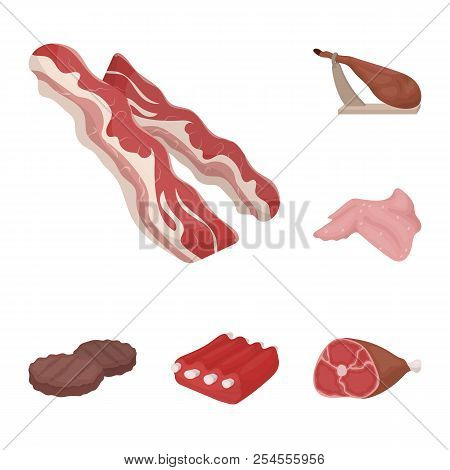 Different Meat Cartoon Icons In Set Collection For Design. Meat Product Vector Symbol Stock Web Illu