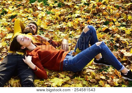 Couple In Love Lies On Dry Fallen Leaves In Park. Man And Woman With Calm Faces On Grass And Leaves 