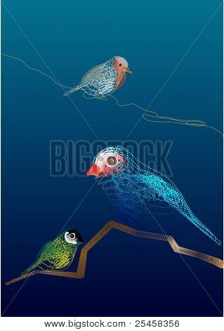 Vector Birds