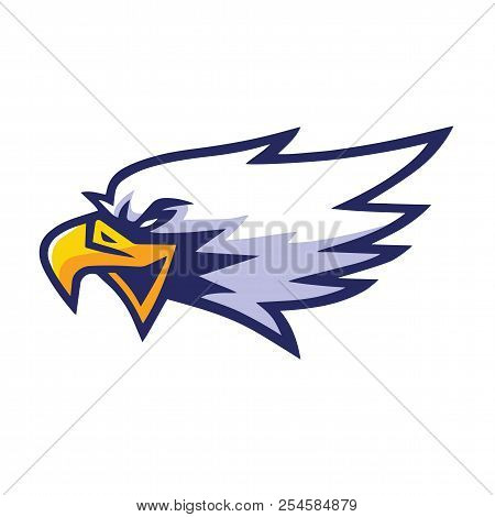 Eagle Head Mascot Sports Team Logo Template