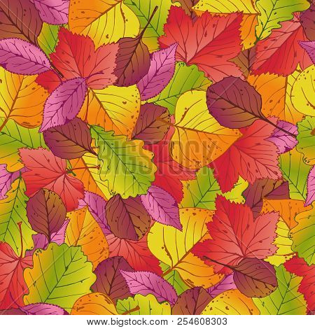 Seamless Pattern With Red, Orange, Brown, Green And Yellow Autumn Leaves. Vector Illustration.
