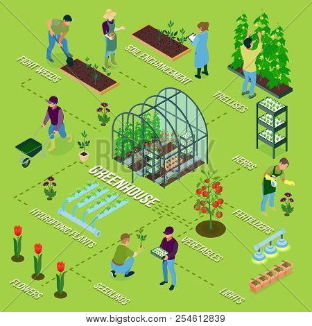 Greenhouse Isometric Flowchart Composition With Glasshouse Herbs Weeding Flowers Seedlings Soil Fert