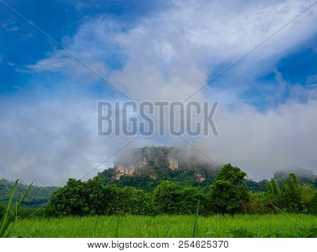 Tham Pha Ya Or Bat Cave , Na Duang District, Loei Province.