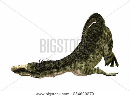 3D Rendering Dinosaur Monolophosaurus On White
