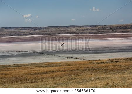 View Of The Salt Lake Chokrak. Crimea