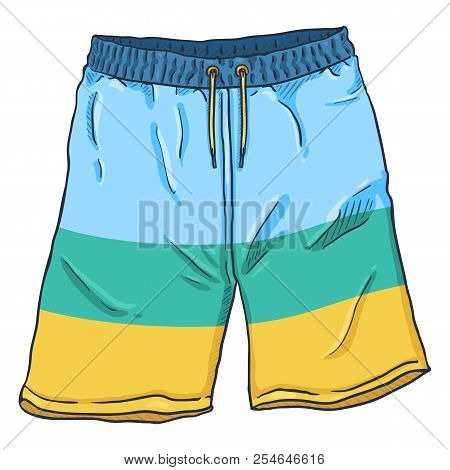 Vector Single Cartoon Illustration - Beach Colorful Swimming Shorts