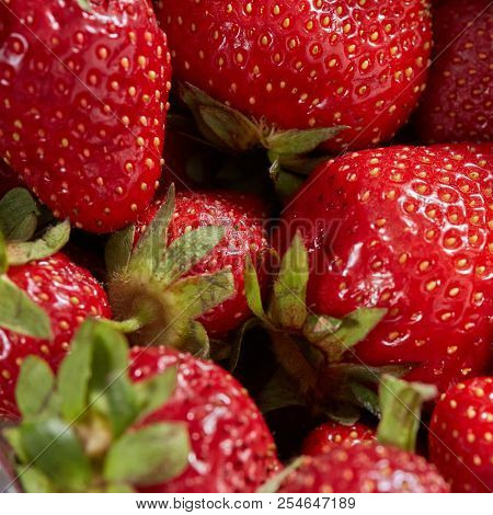 Natural grown your own red strawberry with green leaf in close up background. Healthy raw food.