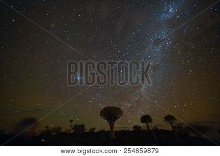 Stars And Milky Way In Night Sky At Quiver Tree Forest In Namibia.