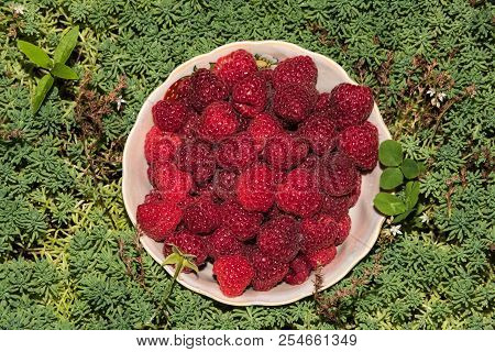 Organic Raspberries In A Bowl . Raspberry Fruit