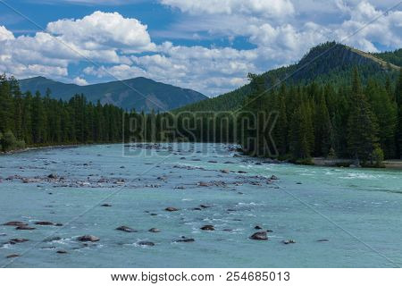 Altai mountains. River Argut. Beautiful highland landscape. Russia. Siberia