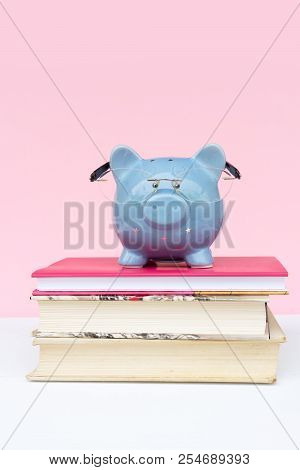 Savings For Educaion Concept, Piggy Bank In Glasses On Pile Of Books