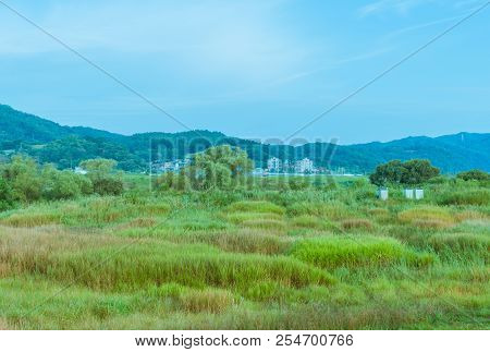 Landscape Of Rural Country Setting With Buildings Of Small Town In Background Under Blue Sky.