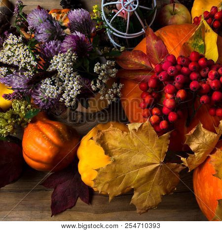 Fall Pumpkin, Rowan Berry And Autumn Leaves