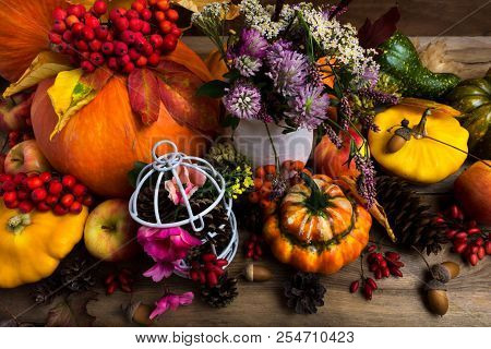 Fall Decor With Orange Turban Squash, Top View