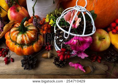 Thanksgiving Decor With Orange Turban Squash And Birdcage