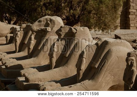 Ram Head Sphinxes In Abu Simbel Temple Of Egypt