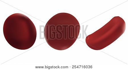Realistic Vector Illustrations Set Red Blood Cell. Scientific Concept. Red Blood Cells Isolated On W