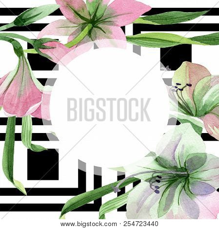 Watercolor Pink Amarylis Flower. Floral Botanical Flower. Frame Border Ornament Square.