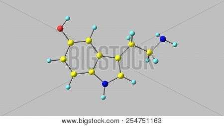 Serotonin Or 5-hydroxytryptamine Is A Monoamine Neurotransmitter, And Is Popularly Thought To Be A C