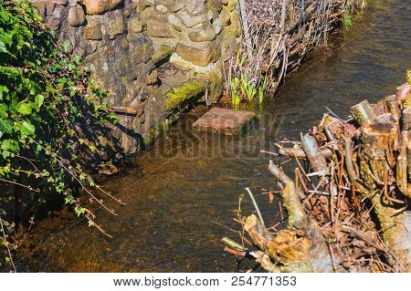 New Shore Fortifications Made Of Willow Wood So-called Fascines