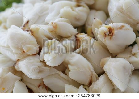 Full Plate Of Fresh Crab Meat Of Boiled Stone Crab Decorated With Vegetable Side Dish, Cheliped Of T