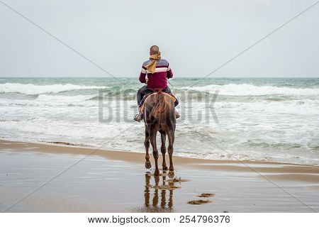Horse In Saaidia Beach