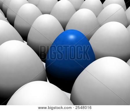 Eggs03