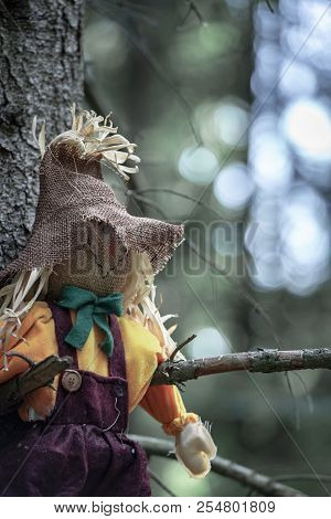 Close-up With A Scarecrow, Left Hanging Between Two Tree Branches, Without Leaves, In The Dark Woods