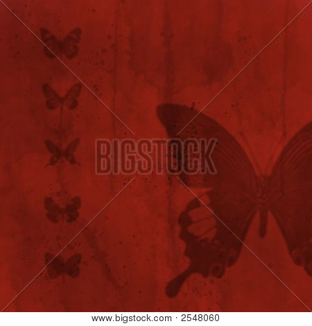 Butterflies05