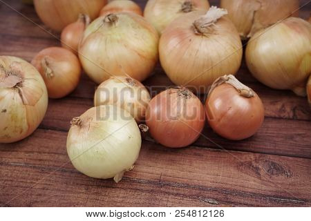 Fresh Onion Bulbs On Wooden Background. Vegetables For A Healthy Diet. Bulb Onion Is Rich In Vitamin