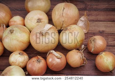 Fresh Onion Bulbs On Wooden Background. Vegetables For A Healthy Diet. Bulb Onion Is Rich In Vitamin