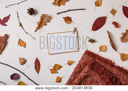 Paper Invitation Mockup, Leaves, Plaid