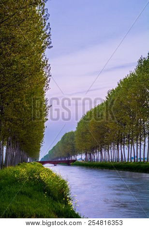 The Channel Cavour Is The Principal Channel For The Irrigation Of The Risaies Of The Novarese