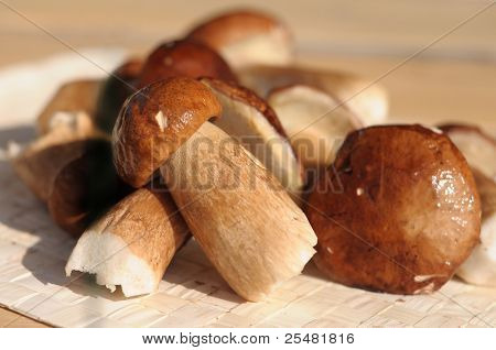 champignon