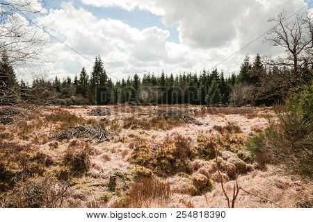 The High Fens, Hoge Venen, Belgium, Signal Van Botrange