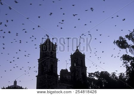 Mexico Yucatan Valladolid Cathedral