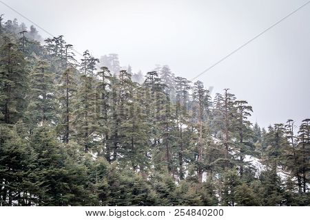 Snow On Michlifen
