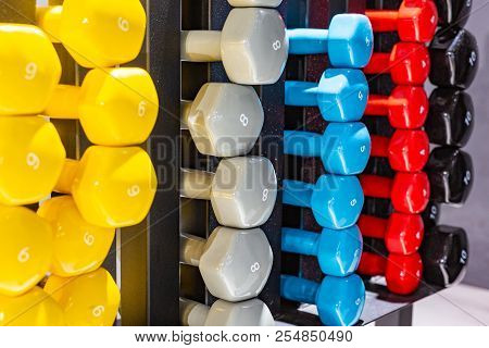 Colorfull Modern Dumbbells On A Wooden Floor
