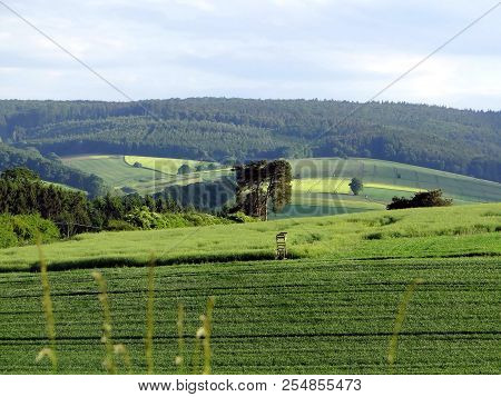 High Seat In The Hills At Geismar, Kellerwald, Edersee, Hesse