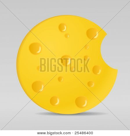 vetor círculo queijo