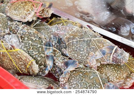 Fresh Crab For Cooking In The Market