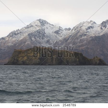Kodiak kust